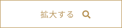 拡大するボタン