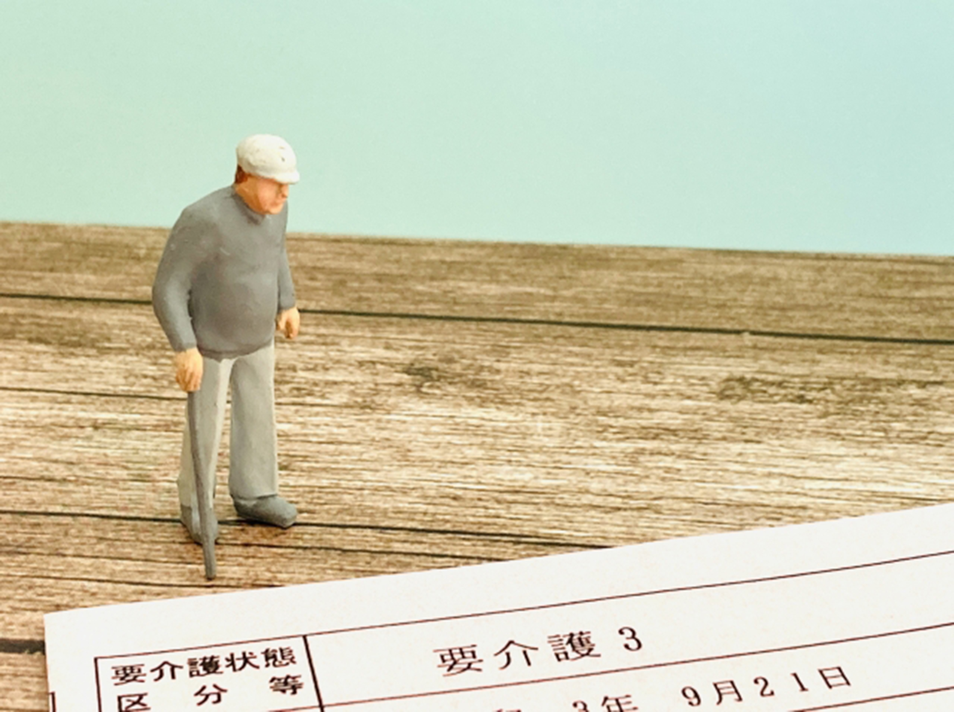 要介護認定：要介護3